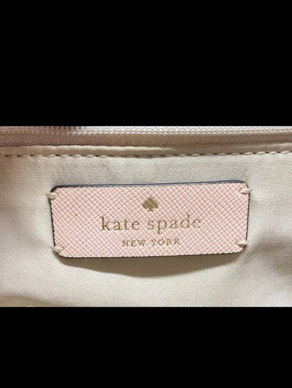 kate spade Pale Pink Crossbody Bag with Gold Hardware